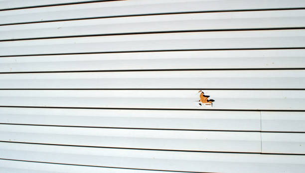 Best Shed Removal  in Milton, WA